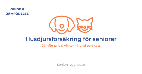 Husdjursförsäkring för seniorer 2026 – bäst & billigast för pensionärer