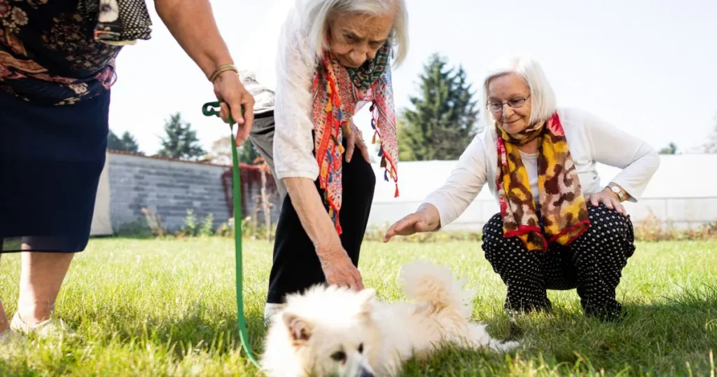 Två äldre kvinnor med vita hår klappar en vit hund som ligger på gräset.
